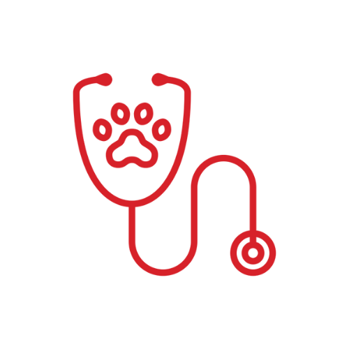 Urgent Pet Care Icon