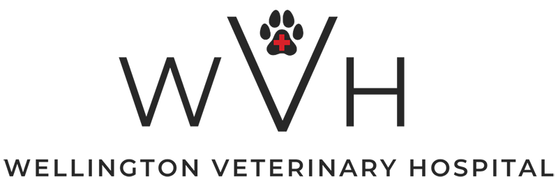 Wellington Veterinary Hospital logo