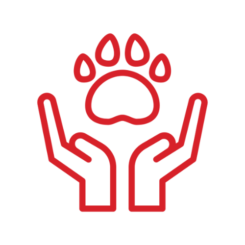 pet preventive care icon