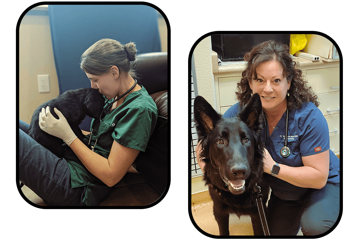 Photo Collage of vet staff with dogs