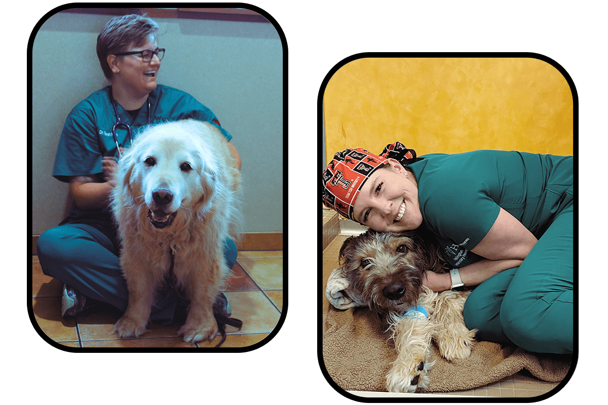 Photo collage of Veterinarians with dogs